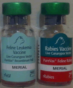 Merial sales feline vaccines